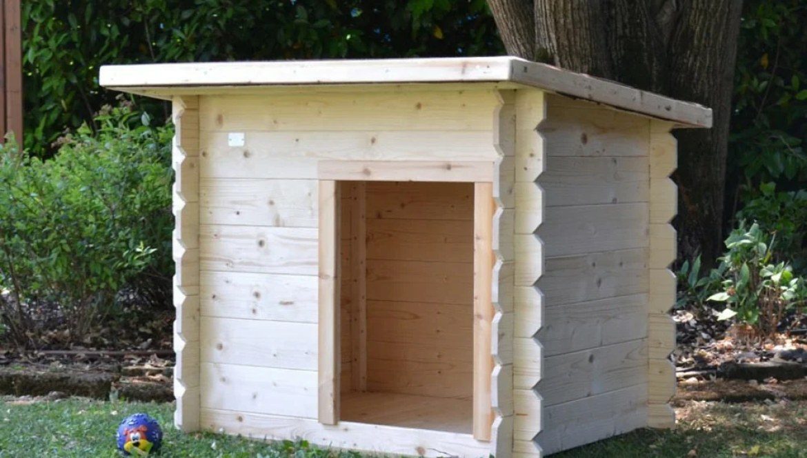 Caseta de madera para perros de exterior: medida e invierno